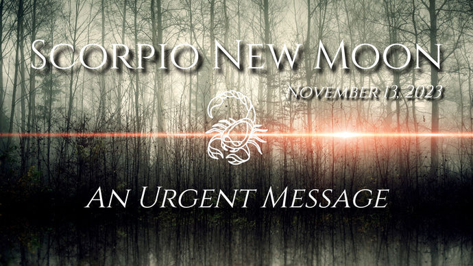Scorpio New Moon - November 13, 2023 - An Urgent Message for Lightworkers