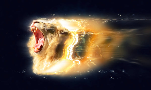 Some Uncomfortable Truth about the "Lion’s Gate Portal"